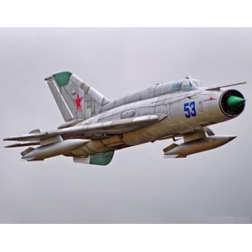 Freewing Mig-21 80mm EDF Jet